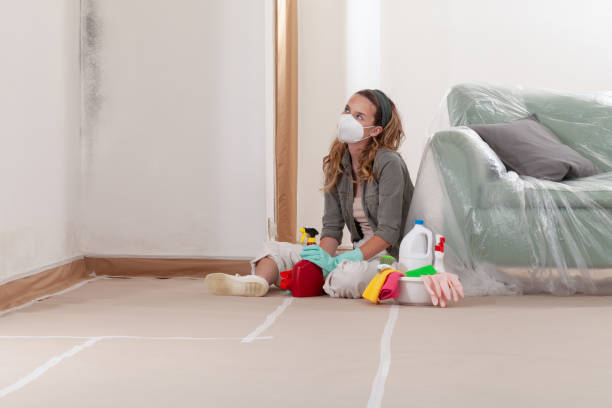 Reliable Commercial Mold Remediation contractor in Glenwood, IL by 24 Hour Mold Removal